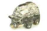 Realistic, Polished Yavapai Travertine Bear with Fish - Arizona #308422-1